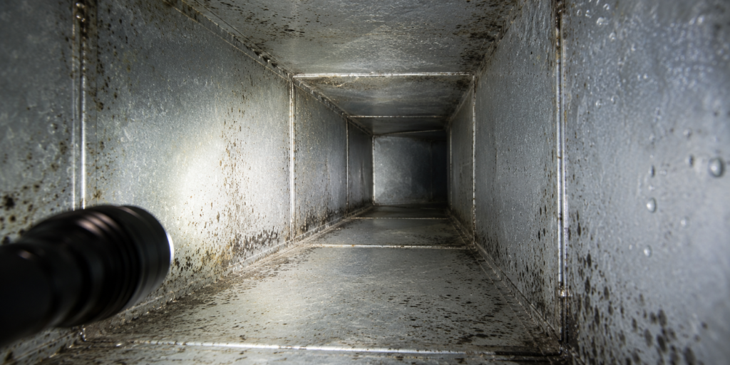 Visible mold inside air duct caused by moisture problem